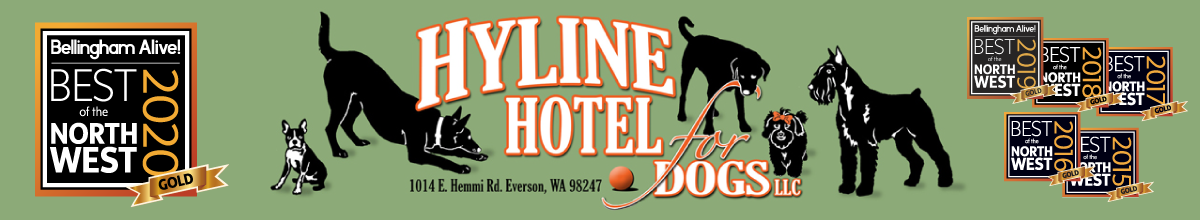 Hyline Hotel for Dogs Logo