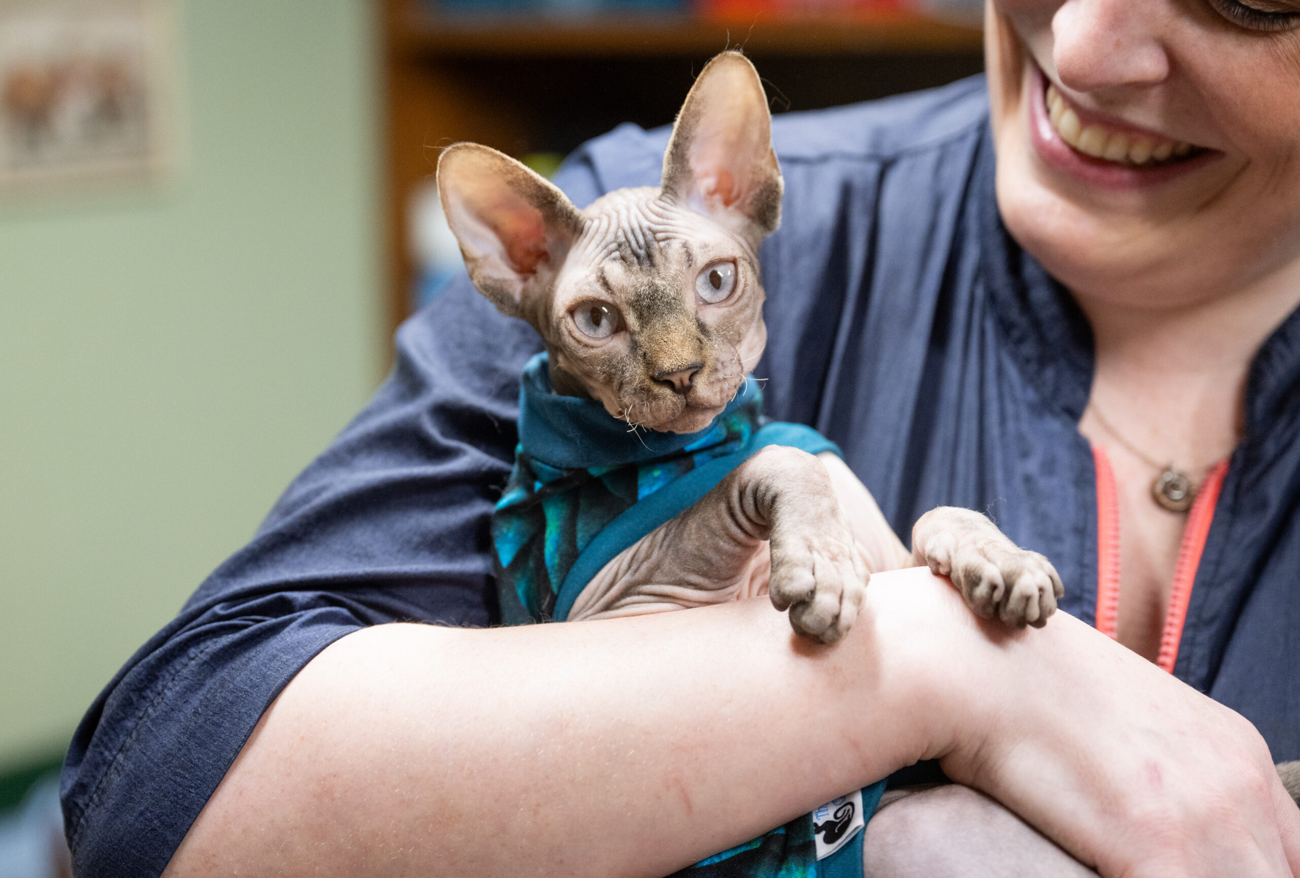 dog grooming mill hall pa