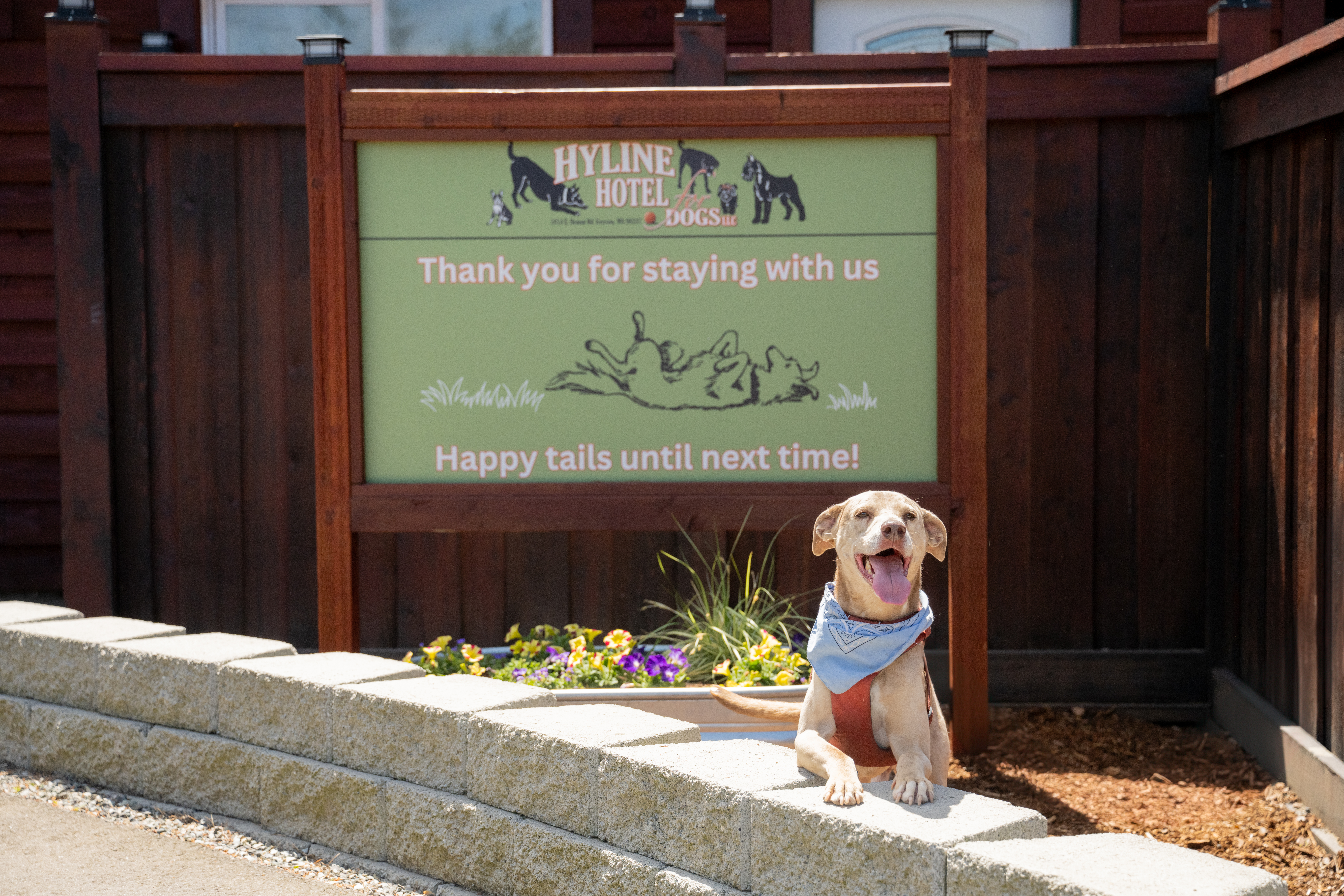 pet resort mill hall pa