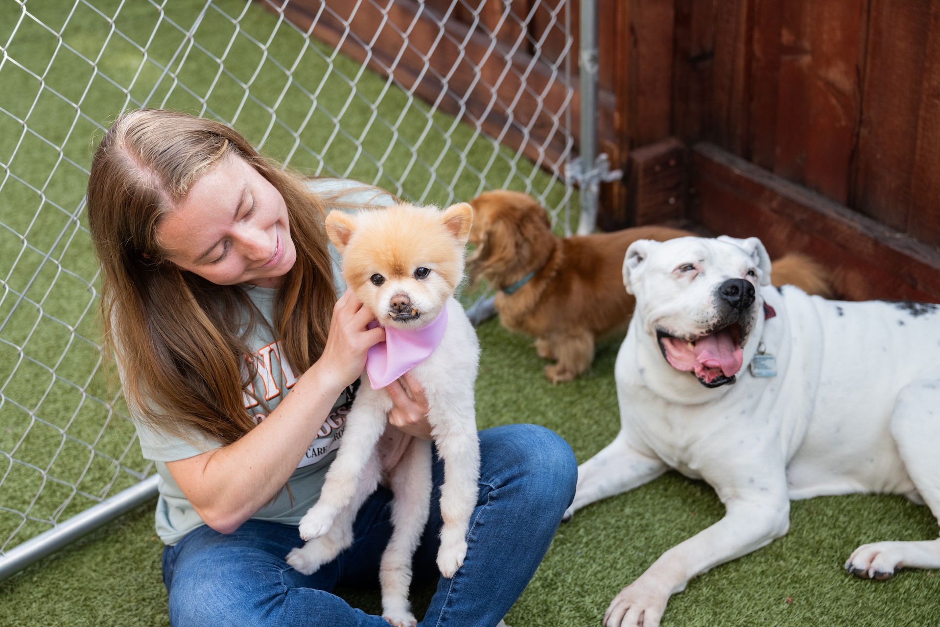Staff member sitting with dogs at Hyline Hotel for Dogs near Ferndale, WA