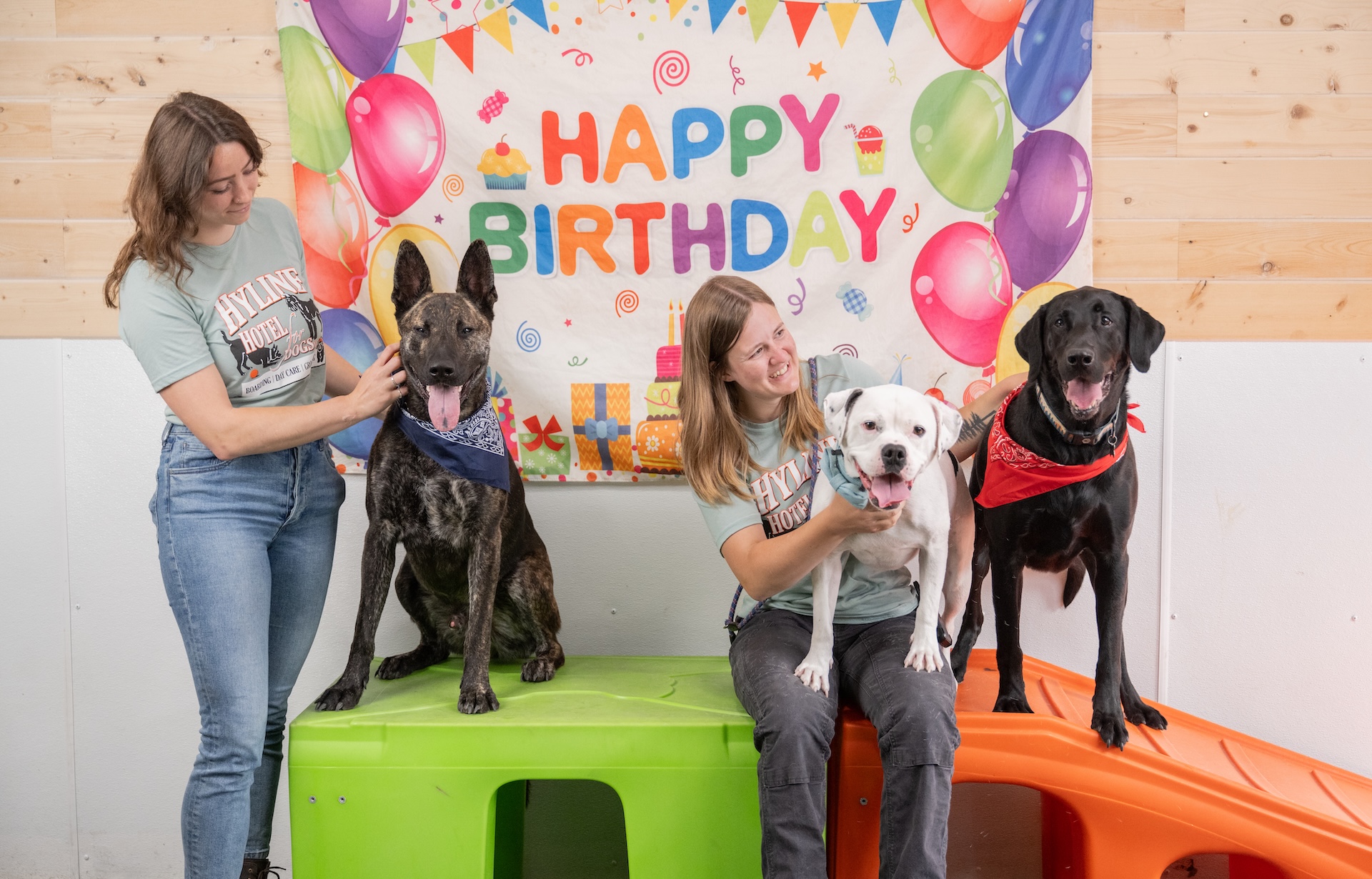 Staff members and dogs in front of birthday sign at Hyline Hotel for Dogs near Ferndale, WA