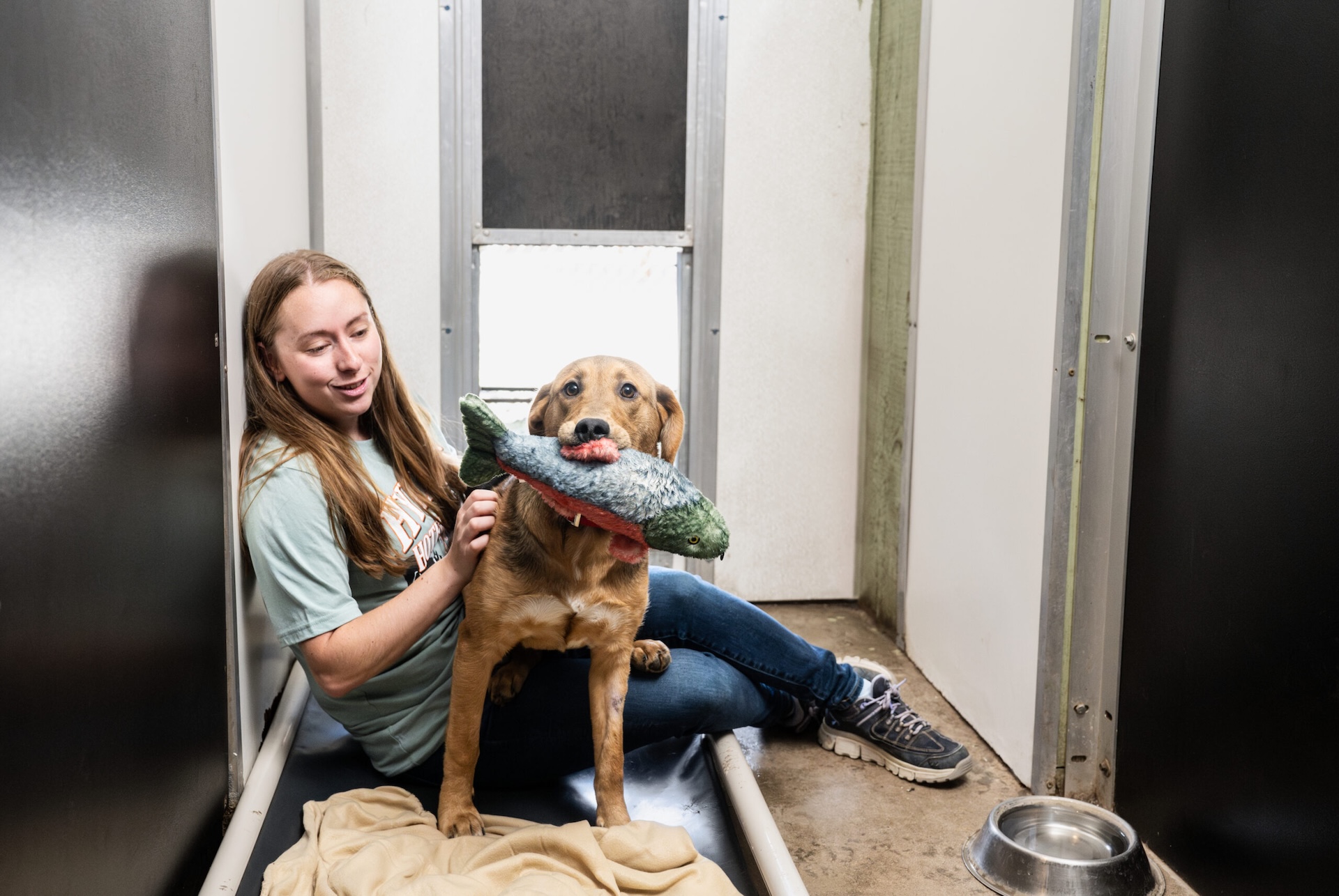 Staff member and dog holding fish toy at Hyline Hotel for Dog Boarding near Blaine, WA